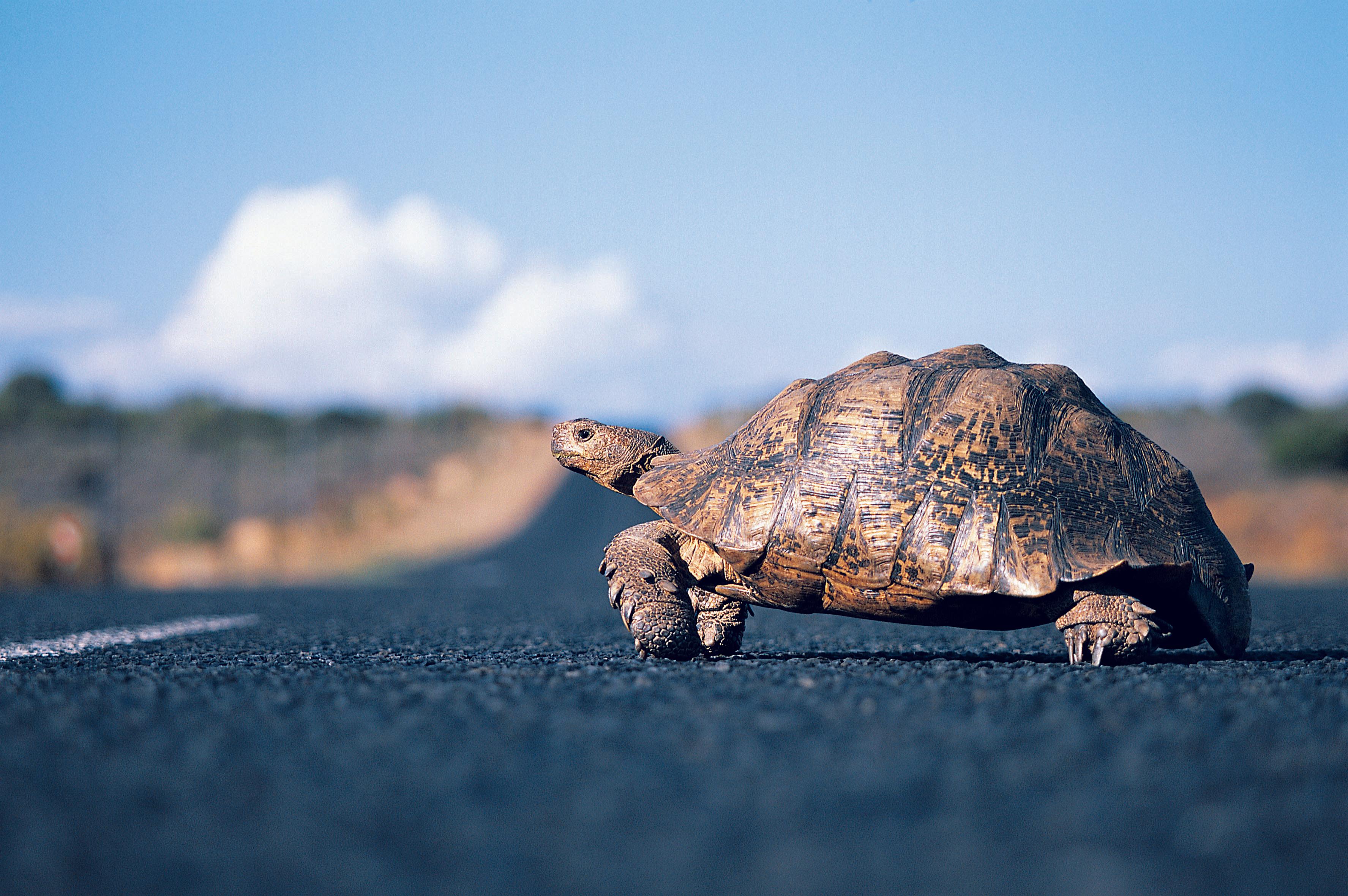 Projects & Workshops