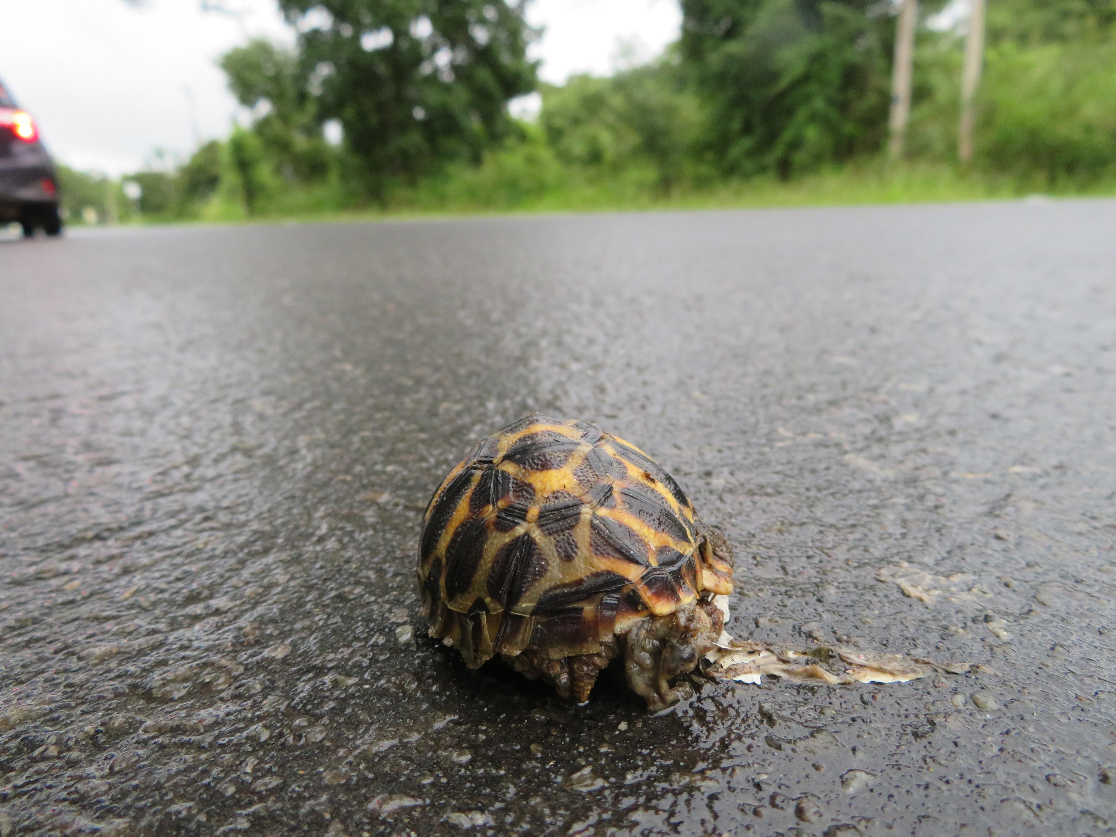 Supporting Conservationists